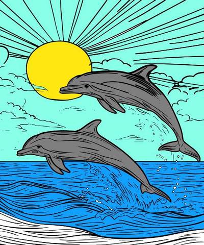 Inspiration: Dolphin Coloring Page – colored by the community