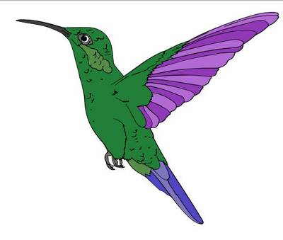 Exemplo: Beija-flor em voo – da comunidade Colomio