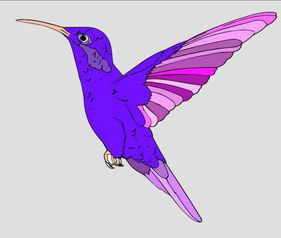 Inspiração: Beija-flor em voo – colorido pela comunidade