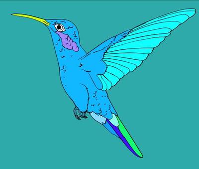 Exemplo: Beija-flor em voo – da comunidade Colomio