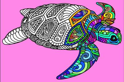 Esimerkki: Kilpikonna mandala – Colomio-yhteisöstä