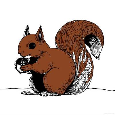 Farvelagt version: Egern med agern