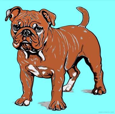 Farvelagt version: Sød mops at farvelægge