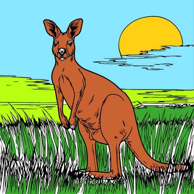 Version coloriée : Kangourou dans une scène de coucher de soleil