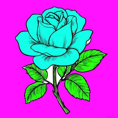 Colored version: Colorful rose illustration