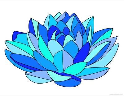 Colored version: Water lily