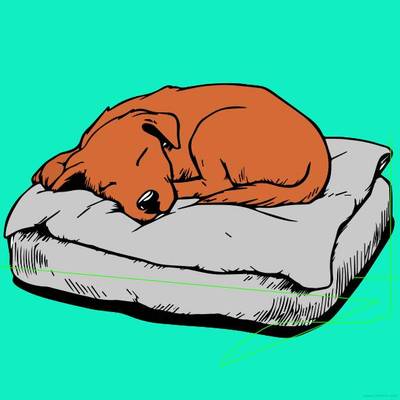 Version coloriée : Chiot endormi sur un lit