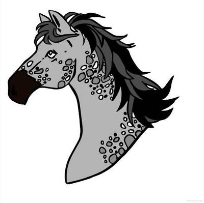 Farvelagt version: Knabstrupper-hestehoved