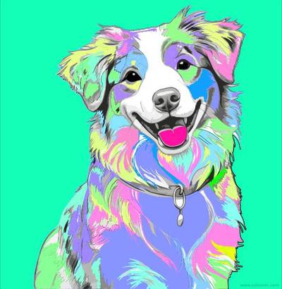 Versão colorida: Página para colorir Australian Shepherd