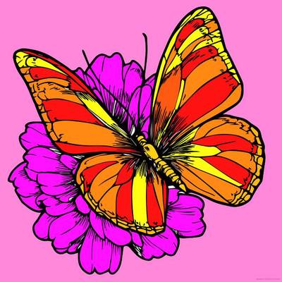 Farvelagt version: Sommerfugl- og blomstermotiv