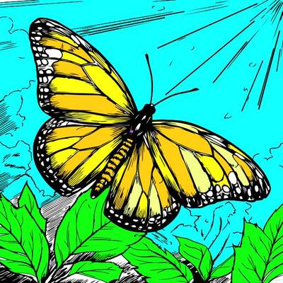 Farvelagt version: Sommerfugl i sollys