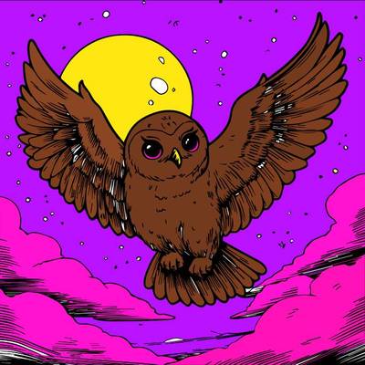 Wersja pokolorowana: Sowa lata w nocy