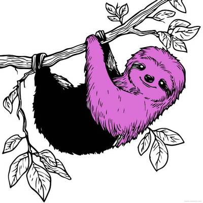 Colored version: Sloth hanging on a branch