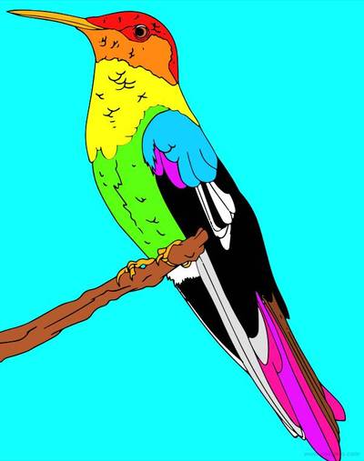 Versione colorata: Colibrì su tronco d’albero