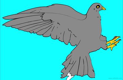 Versione colorata: Colomba
