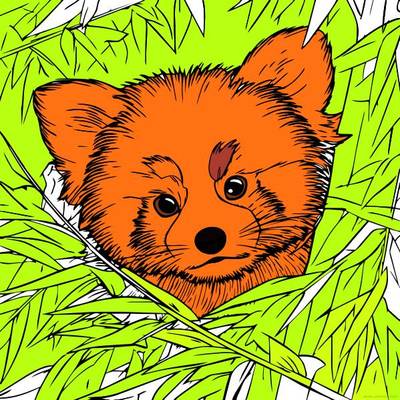 Colored version: Red panda