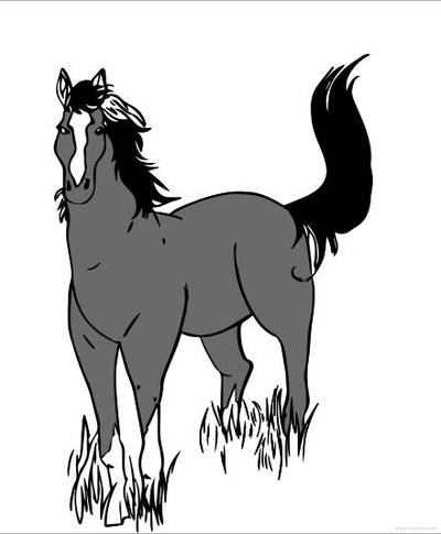 Ausgemalte Version: Fohlen im Stand