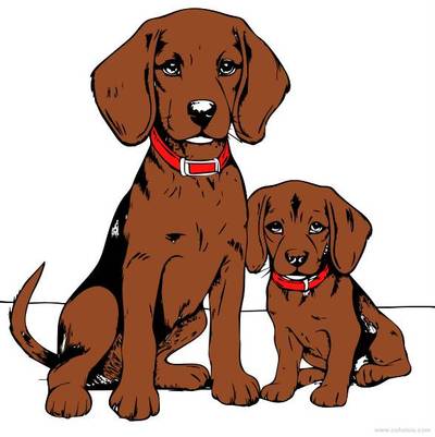 Inspiration: Beagle Dogs – colored by the community