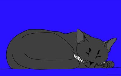 Version coloriée : Chat endormi