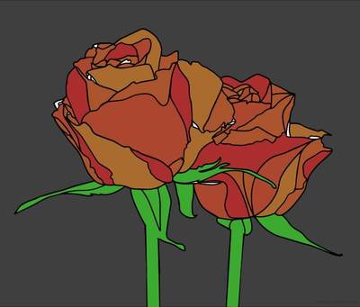 Versão colorida: Desenho de par de rosas