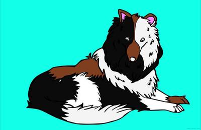 Versão colorida: Collie de pelo longo para colorir