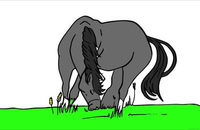 Ausgemalte Version: Grasendes Pferd