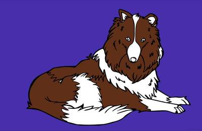 Versão colorida: Collie de pelo longo para colorir