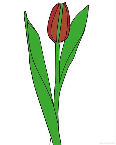 Versão colorida: Tulipa com caule para colorir