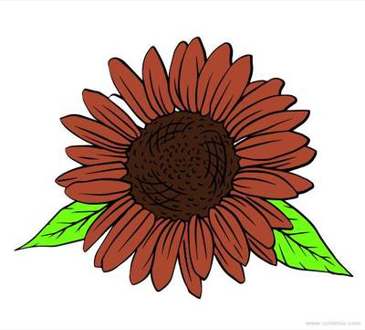 Versão colorida: Desenho de girassol com folhas para colorir e imprimir