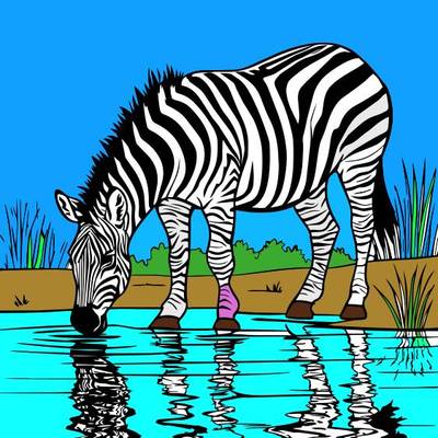 Fargelagt versjon: Zebra ved vannet