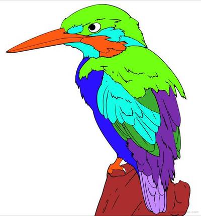 Versão colorida: Martim-pescador para colorir