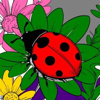 Väritetty versio: Leppäkerttu kukilla