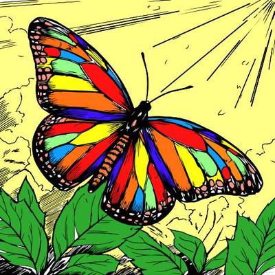 Wersja pokolorowana: Motyl w świetle słonecznym