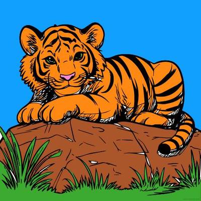 Colored version: Playful tiger on a rock