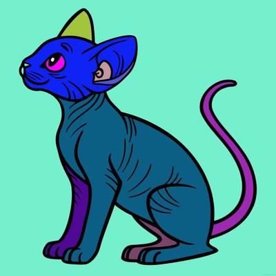 Fargelagt versjon: Detaljert rynkete sphynxkatt