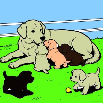 Versão colorida: Golden retriever com cinco filhotes