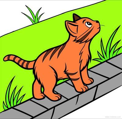 Fargelagt versjon: Polydaktyl katt på hagesti