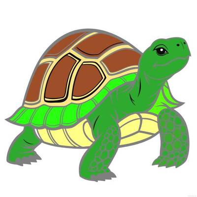 Colored version: Close-up tortoise on land