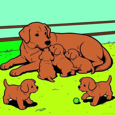 Versão colorida: Golden retriever com cinco filhotes