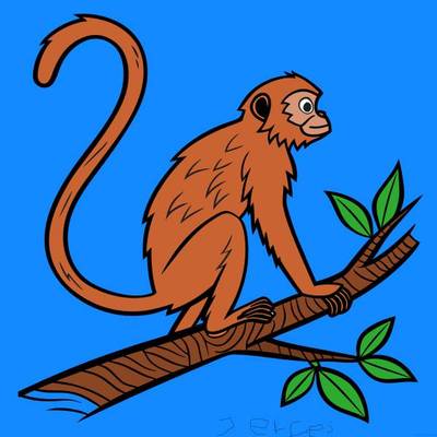 Versão colorida: Macaco-aranha no galho