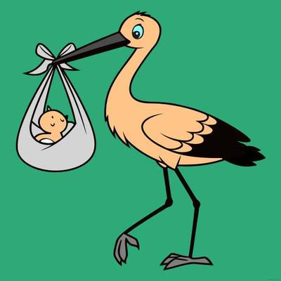 Versão colorida: Cegonha com bebê na trouxa
