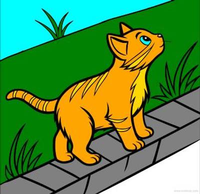 Colored version: Polydactyl cat on a path