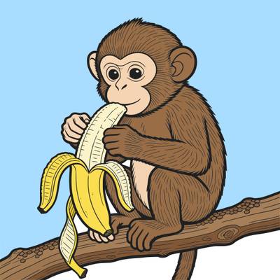 Version coloriée : Singe détaillé épluchant une banane