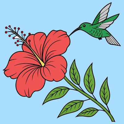 Colored version: Hibiscus branch with hummingbird