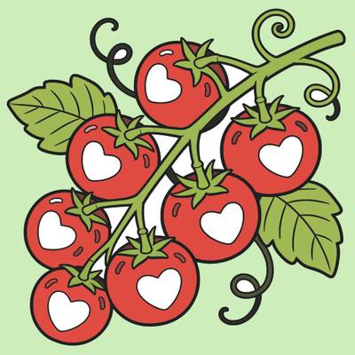 Ingekleurde versie: Hartvormige tomaten aan een tros