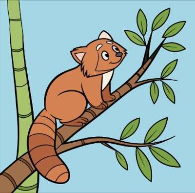 Farvelagt version: Rød panda på en bambusgren