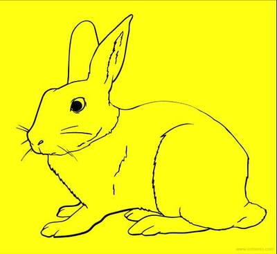 Colored version: Hare