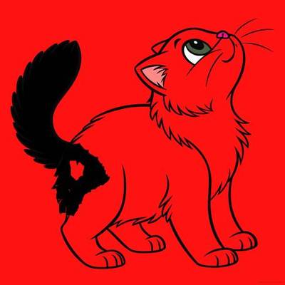 Ausgemalte Version: Perserkatze in Vorderansicht
