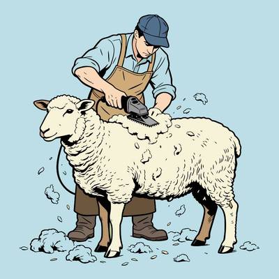 Farvelagt version: Detaljeret scene med fåreklipning