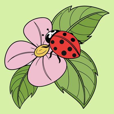 Ausgemalte Version: Marienkäfer auf einer Blüte